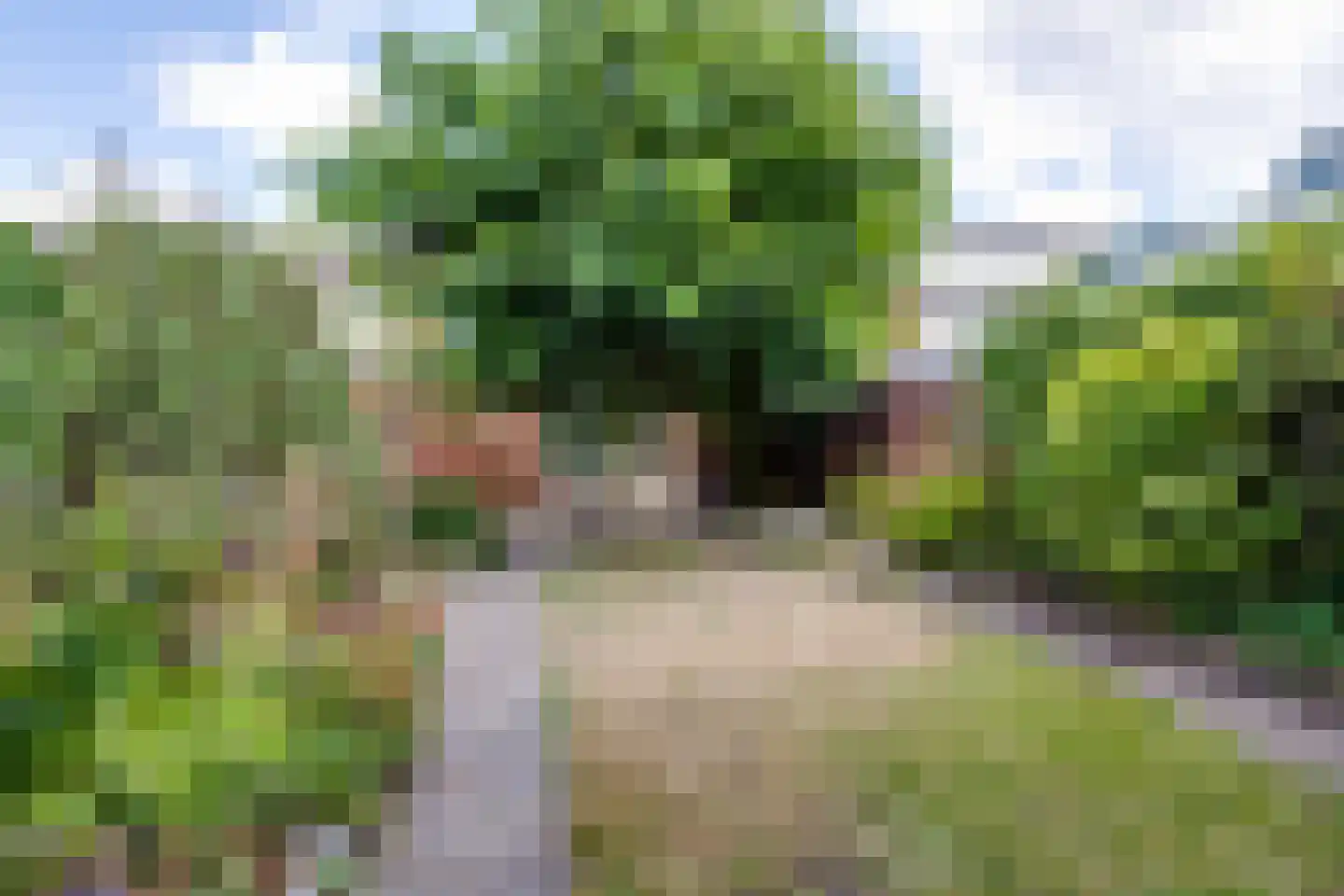 Verdistraat 9 Lichtenvoorde thumbnail 5