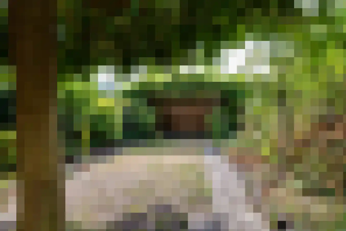 Verdistraat 9 Lichtenvoorde thumbnail 51
