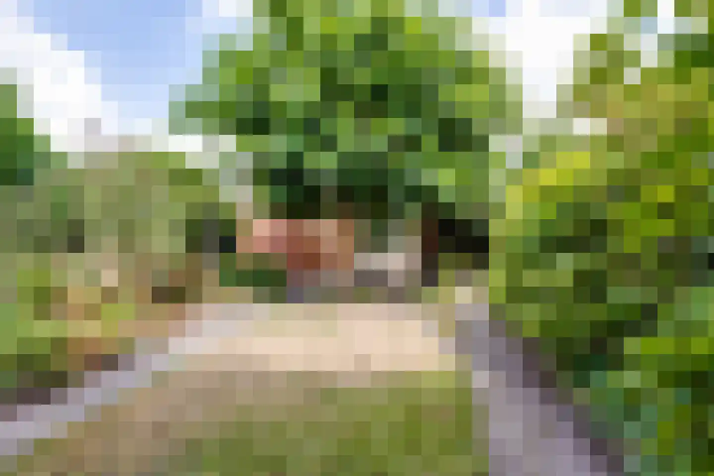 Verdistraat 9 Lichtenvoorde thumbnail 53
