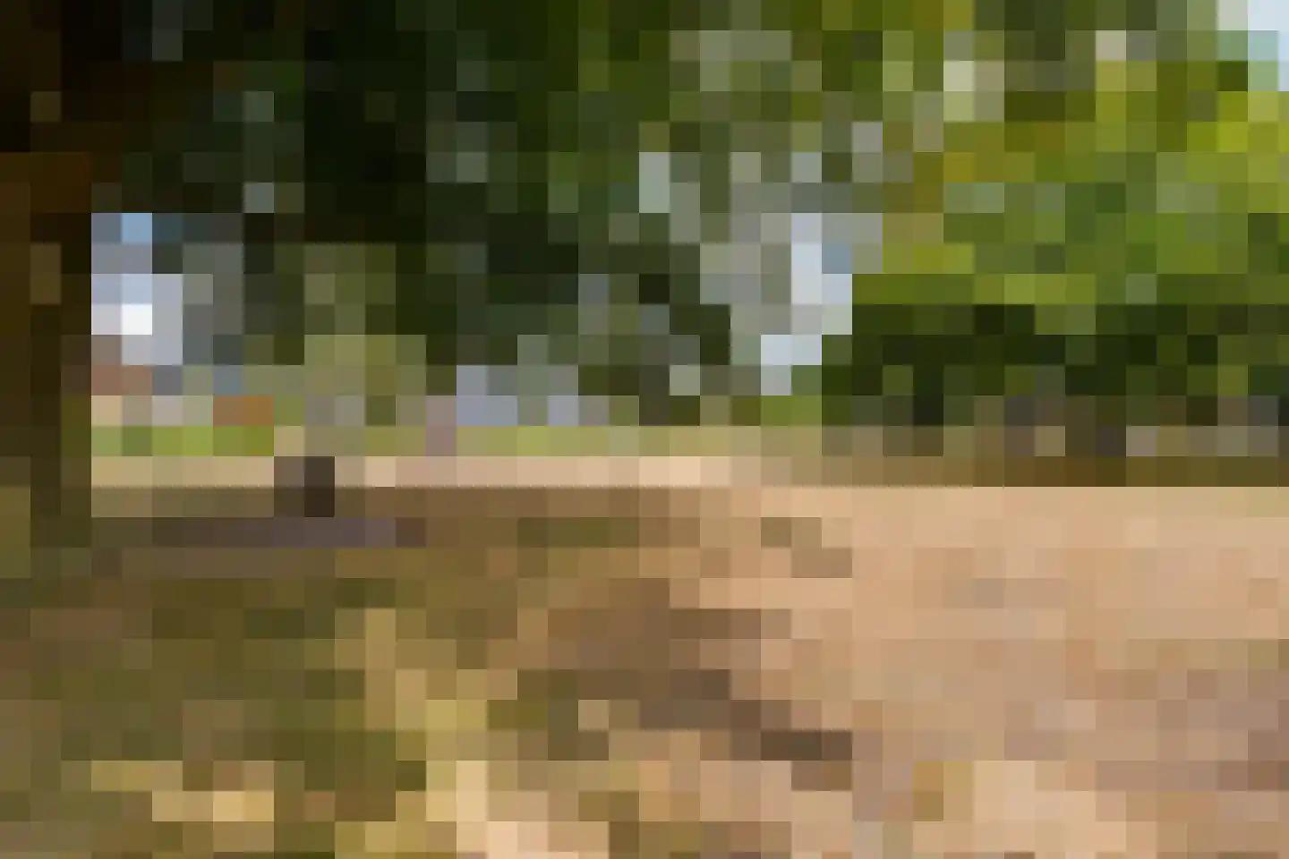 Verdistraat 9 Lichtenvoorde thumbnail 57