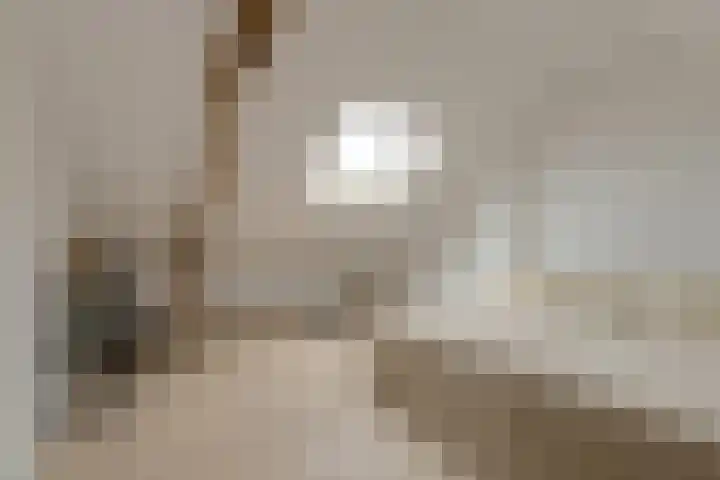 Verdistraat 9 Oosterhout thumbnail 34