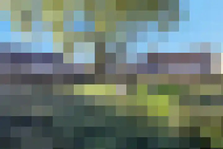 Verdistraat 92 Bunschoten-Spakenburg thumbnail 39