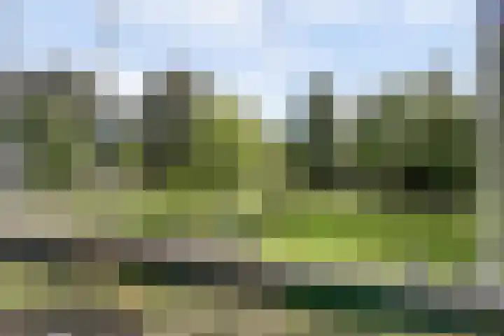 Verdiweg 103 Amersfoort thumbnail 10