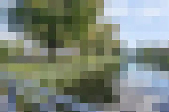 Verdiweg 103 Amersfoort thumbnail 32