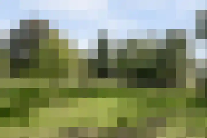 Verdiweg 103 Amersfoort thumbnail 33