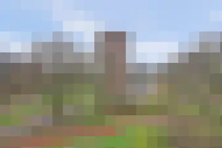 Verdiweg 265 Amersfoort thumbnail 34