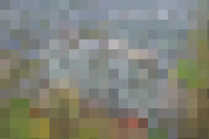 Verdiweg 265 Amersfoort thumbnail 36