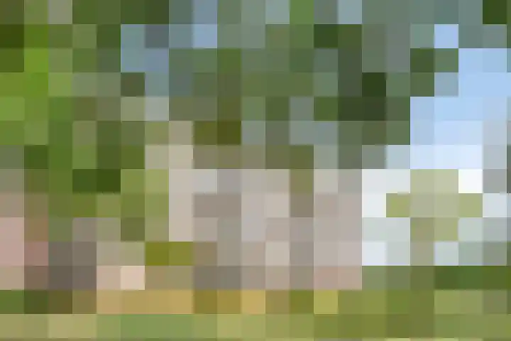 Verdiweg 369 Amersfoort thumbnail 22