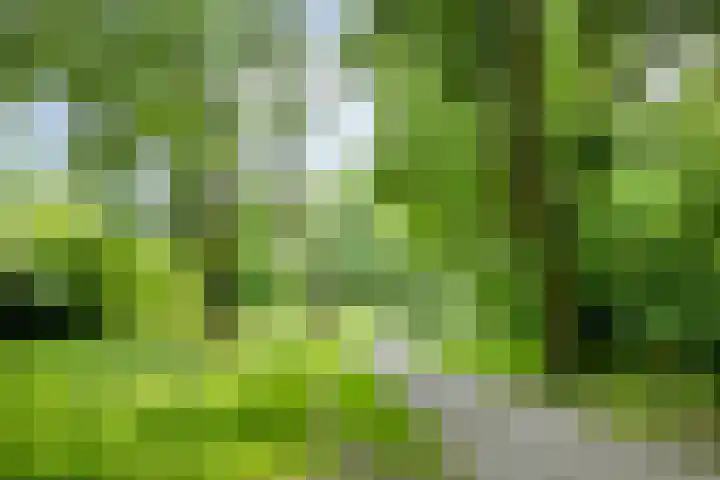 Verdiweg 369 Amersfoort thumbnail 25