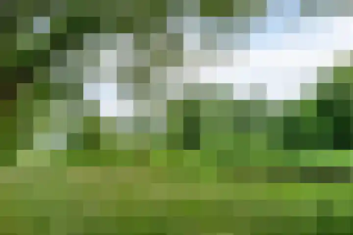Verdiweg 369 Amersfoort thumbnail 26