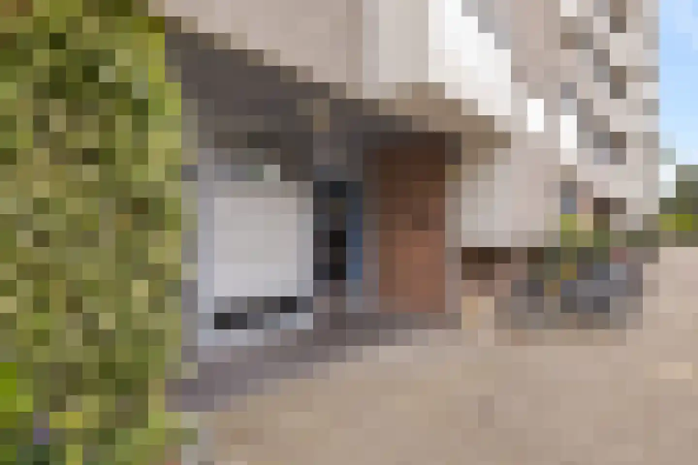 Verdiweg 385 Amersfoort thumbnail 38