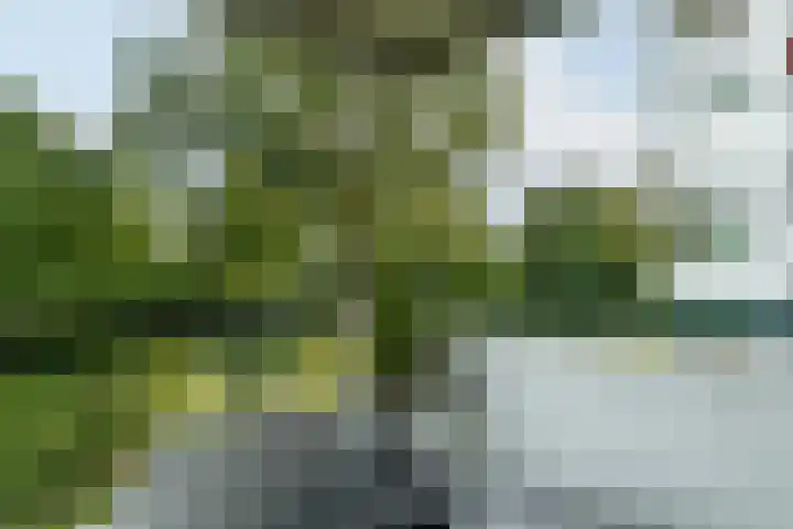 Verdiweg 67 Amersfoort thumbnail 17