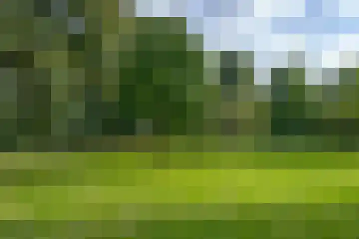 Verdiweg 67 Amersfoort thumbnail 38