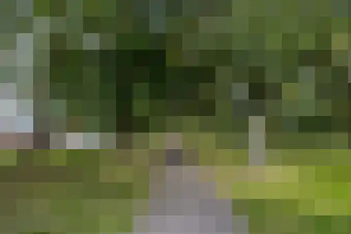 Verdiweg 67 Amersfoort thumbnail 39