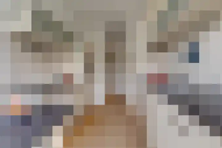 Verdiweg 67 Amersfoort thumbnail 4