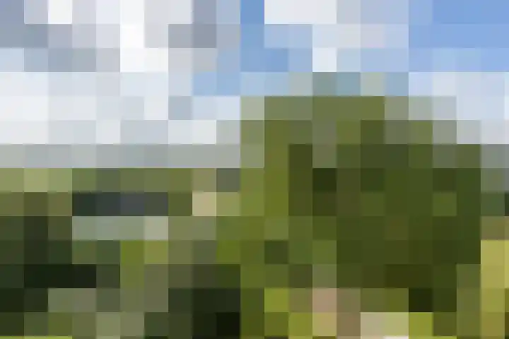 Verdiweg 91 Amersfoort thumbnail 21