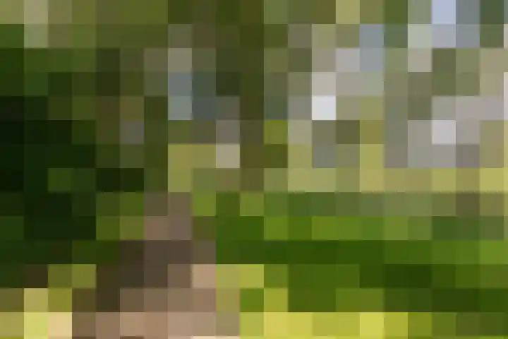Verdiweg 91 Amersfoort thumbnail 38