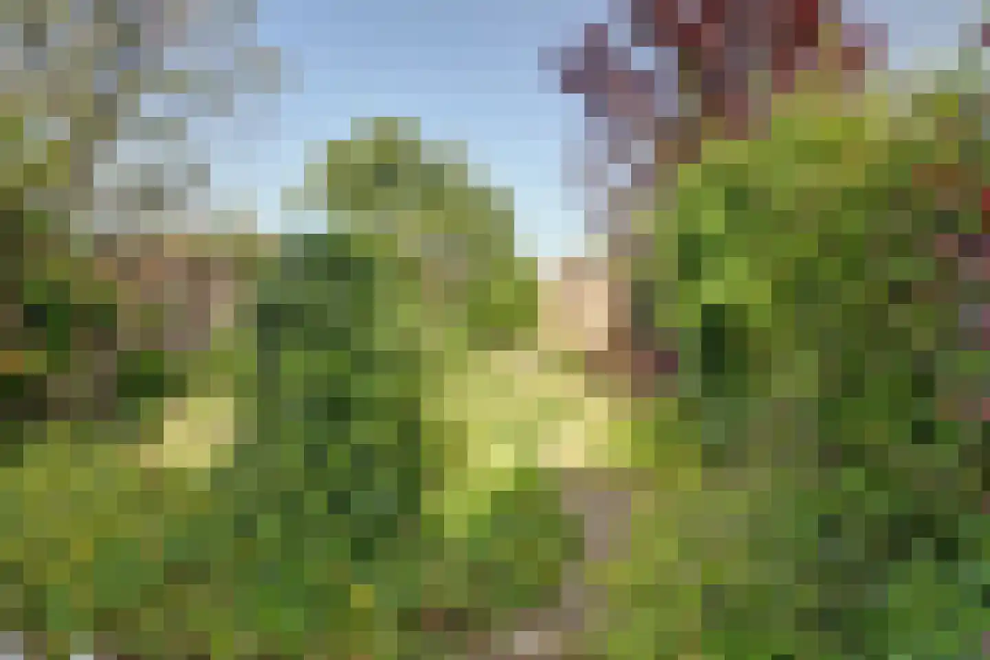 Verdouwenhoeck 16 Heenvliet thumbnail 12