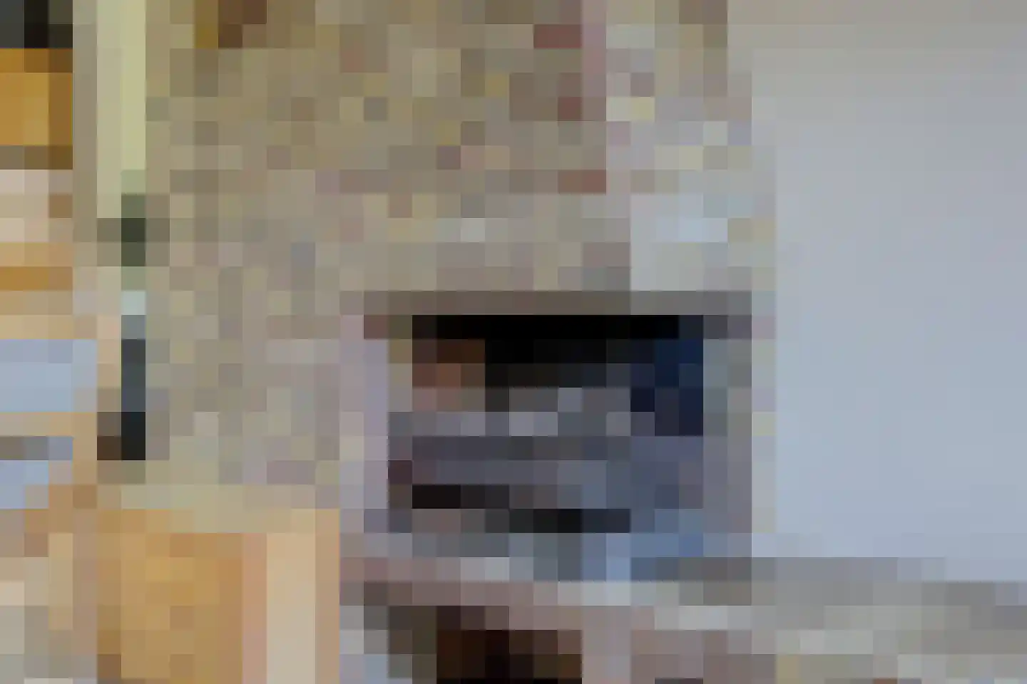 Verdouwenhoeck 16 Heenvliet thumbnail 5