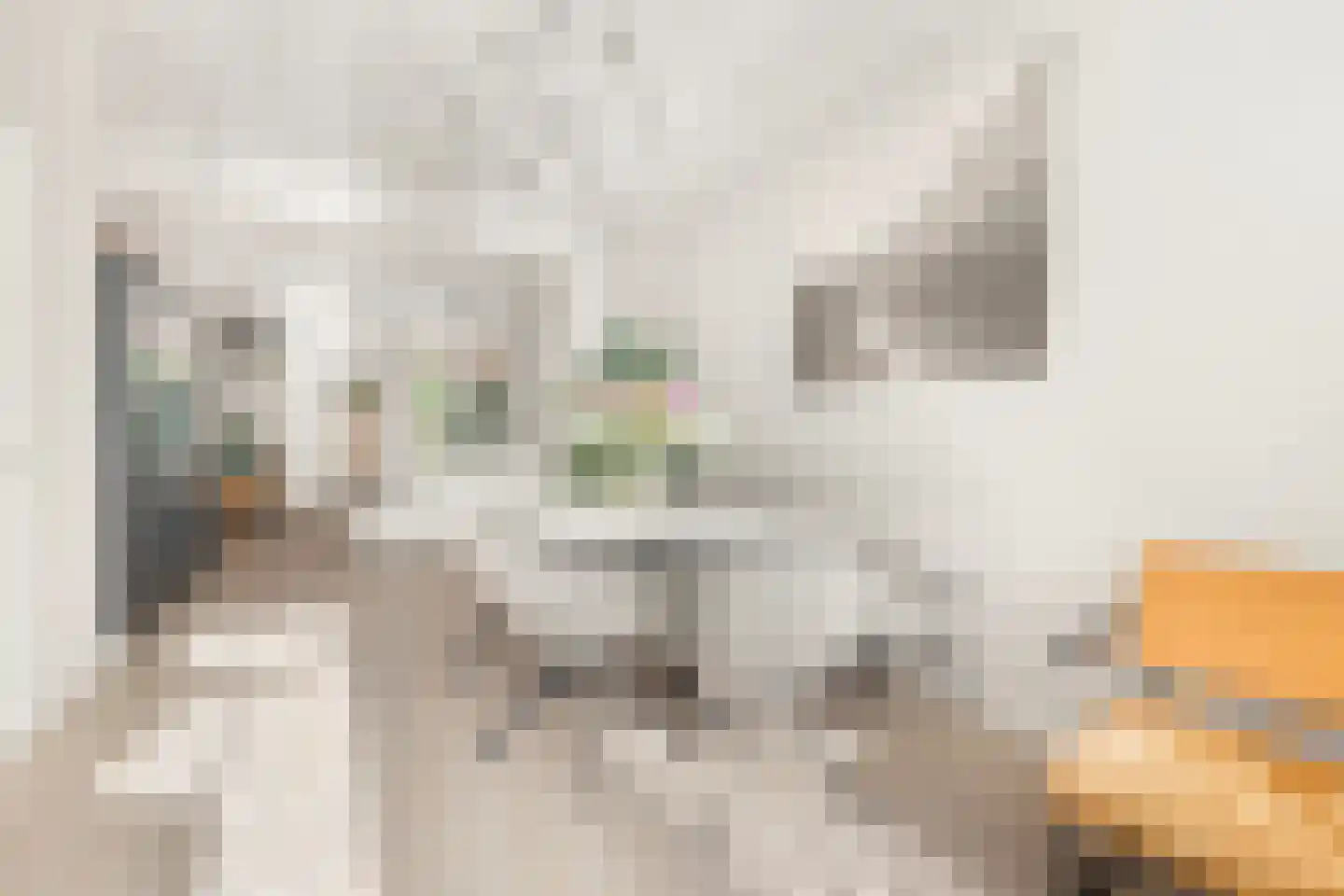 Verdronkenoord 10 Alkmaar thumbnail 13
