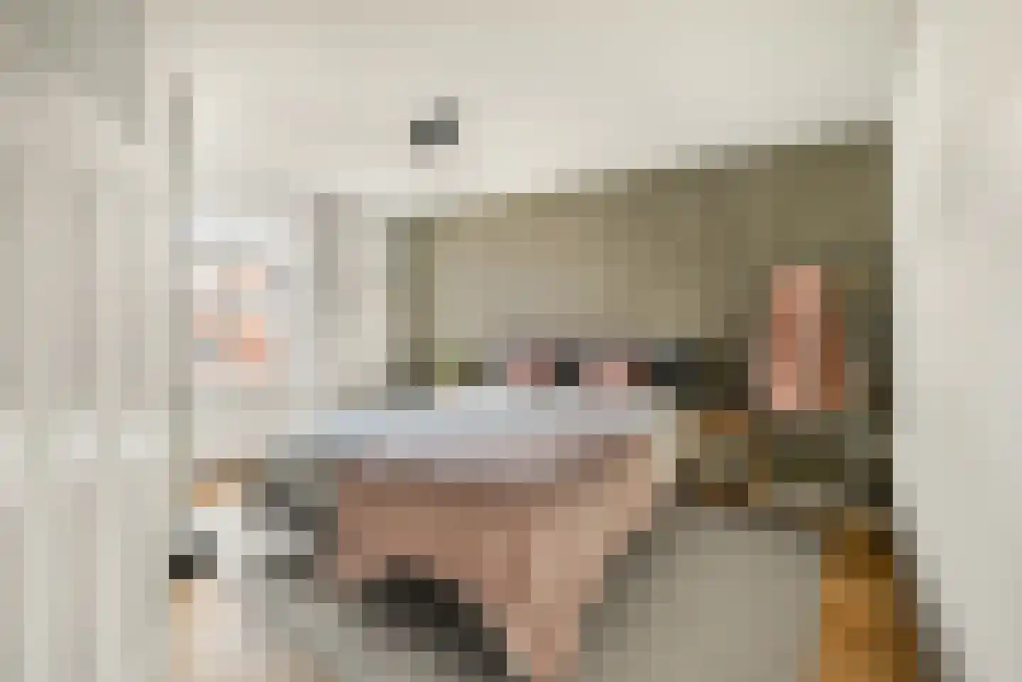 Verdronkenoord 10 Alkmaar thumbnail 16
