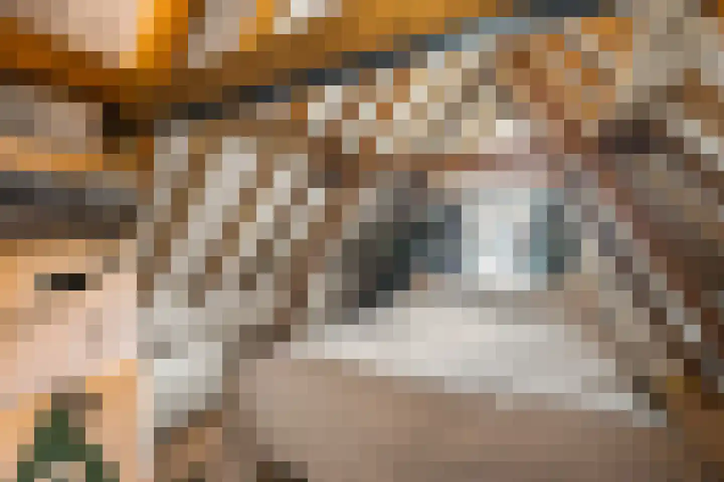 Verdronkenoord 10 Alkmaar thumbnail 21