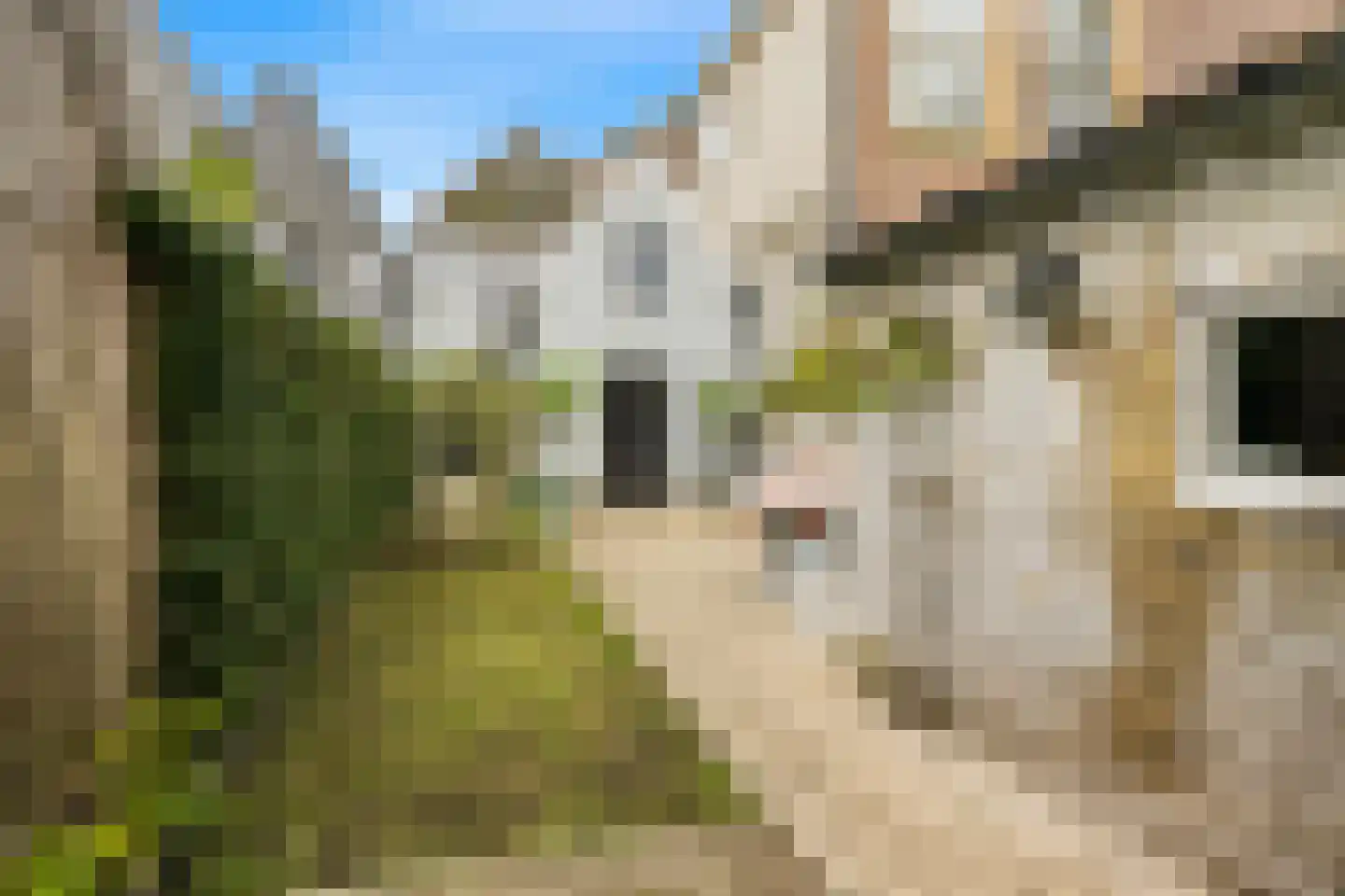 Verdronkenoord 10 Alkmaar thumbnail 29