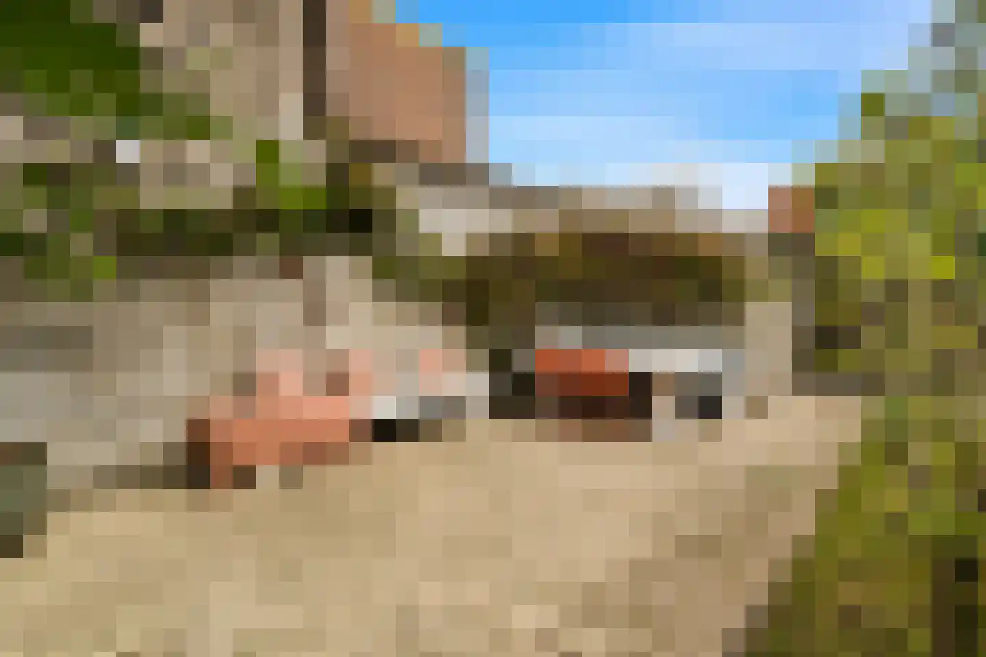 Verdronkenoord 10 Alkmaar thumbnail 31