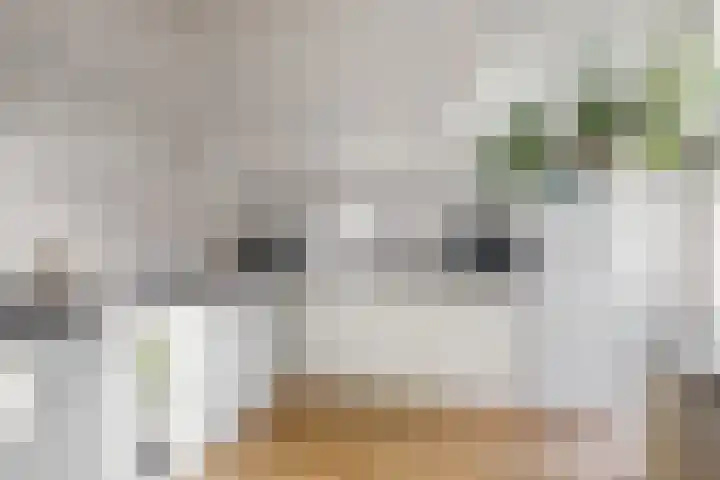 Verdronkenoord 104 C Alkmaar thumbnail 12