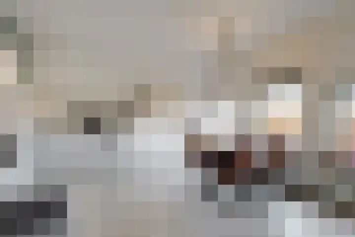 Verdronkenoord 104 C Alkmaar thumbnail 21