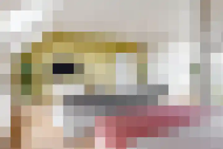 Verdronkenoord 104 C Alkmaar thumbnail 8