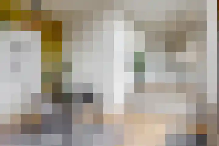 Verdronkenoord 104 C Alkmaar thumbnail 9