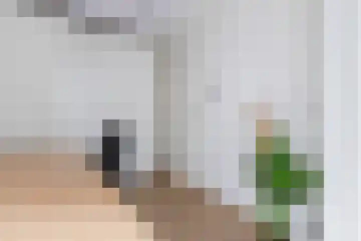 Verdronkenoord 105 A Alkmaar thumbnail 14