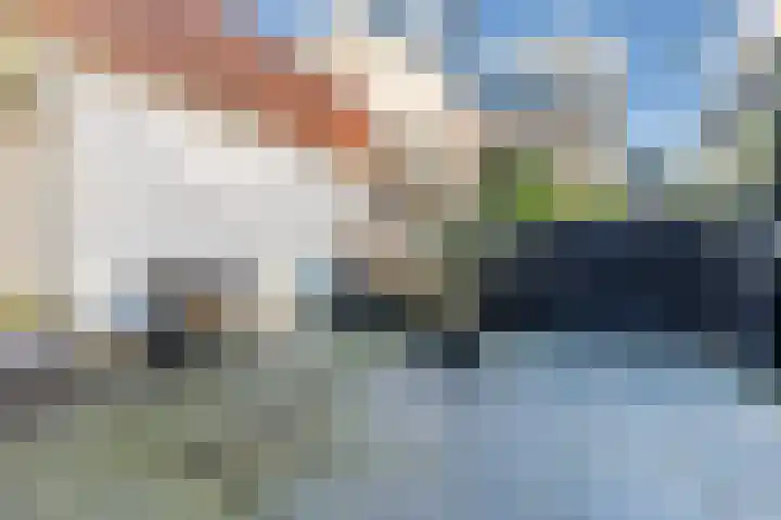 Verdronkenoord 105 A Alkmaar thumbnail 20