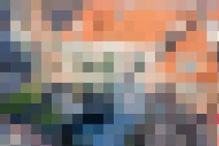 Verdronkenoord 105 A Alkmaar thumbnail 23