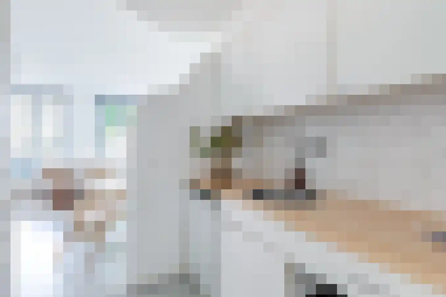 Verdronkenoord 105 Alkmaar thumbnail 20