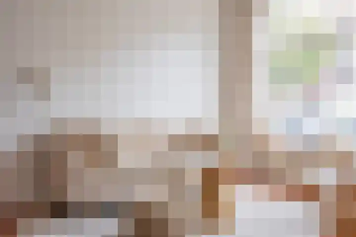 Verdronkenoord 107 Alkmaar thumbnail 13
