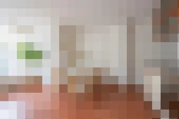 Verdronkenoord 107 Alkmaar thumbnail 16