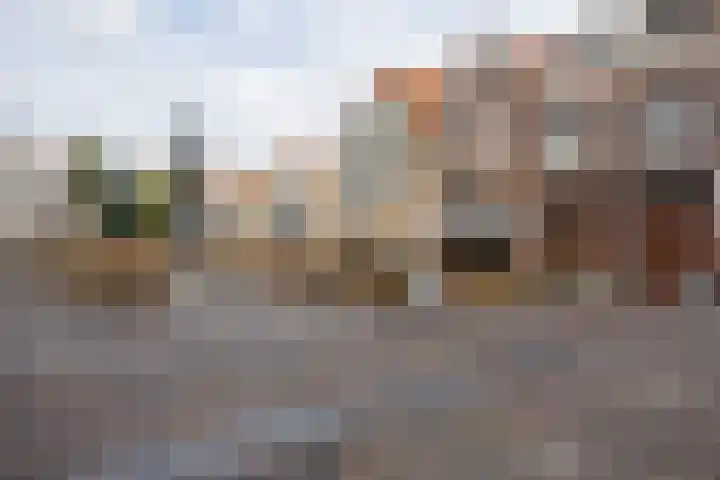 Verdronkenoord 107 Alkmaar thumbnail 23