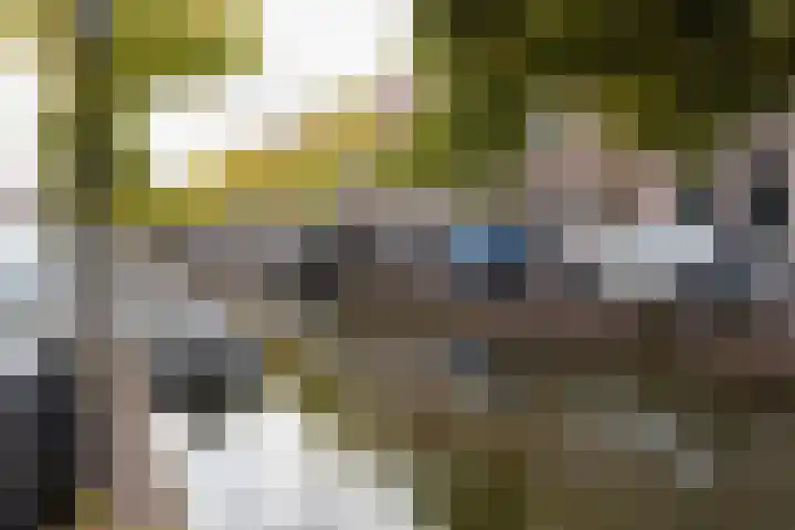 Verdronkenoord 107 Alkmaar thumbnail 24