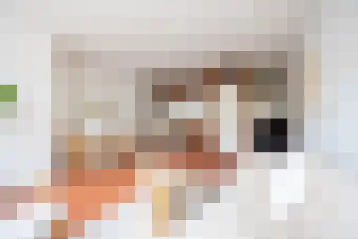 Verdronkenoord 107 Alkmaar thumbnail 8