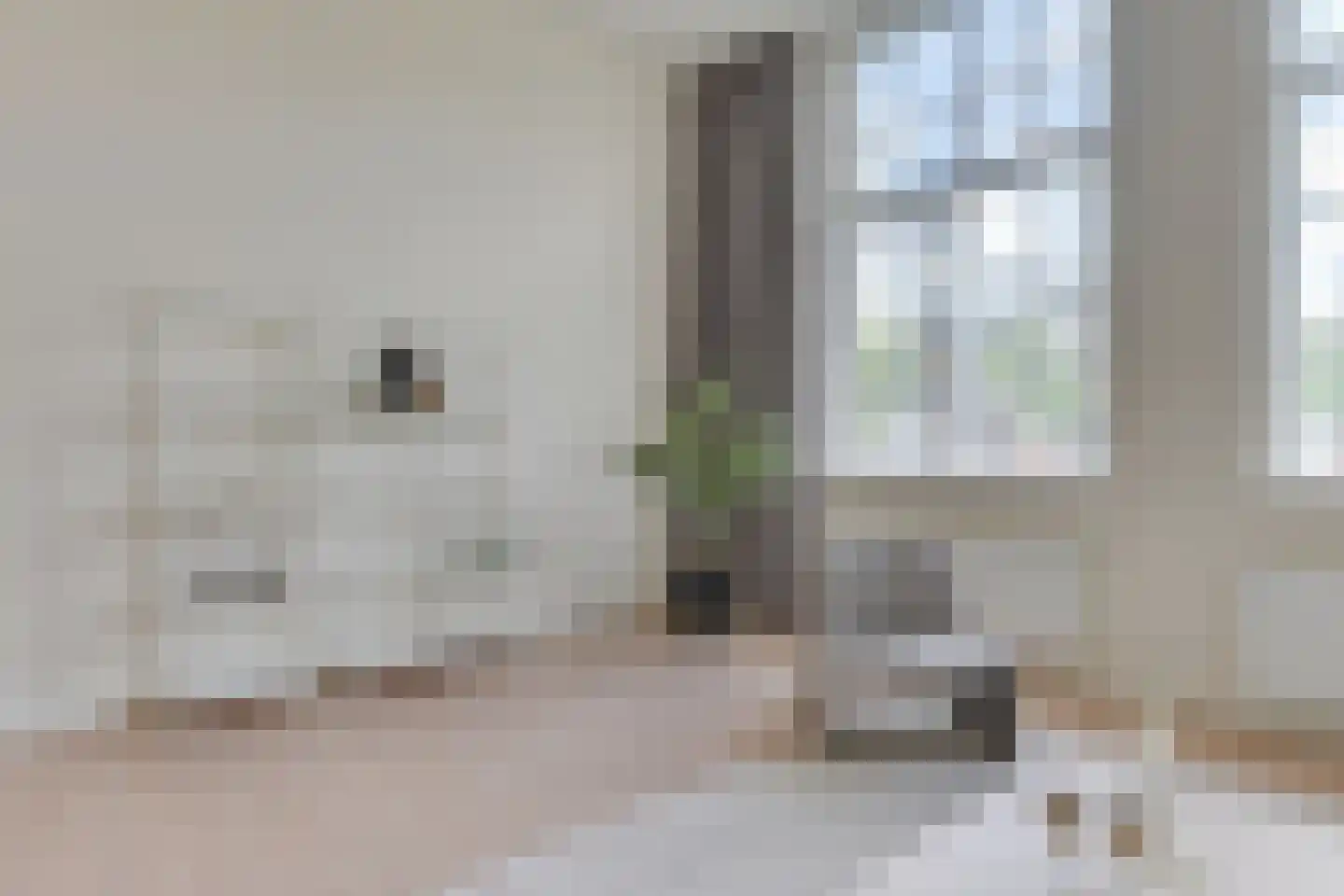 Verdronkenoord 12 Alkmaar thumbnail 12