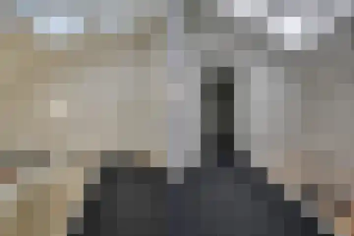 Verdronkenoord 12 H Alkmaar thumbnail 10