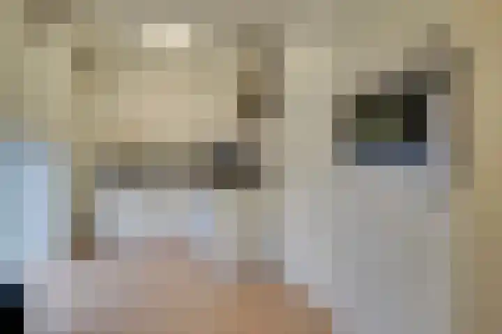 Verdronkenoord 12 H Alkmaar thumbnail 15