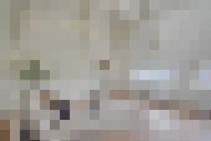 Verdronkenoord 12 H Alkmaar thumbnail 30