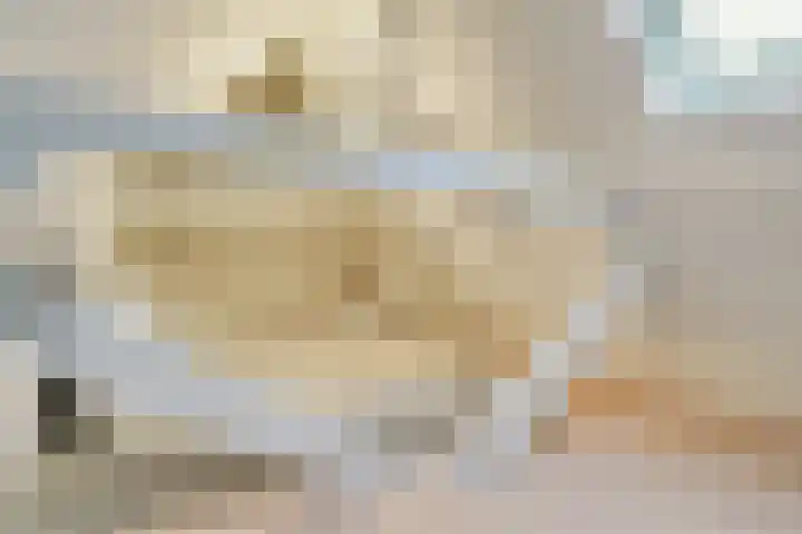 Verdronkenoord 12 H Alkmaar thumbnail 32