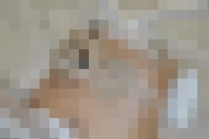 Verdronkenoord 12 H Alkmaar thumbnail 36