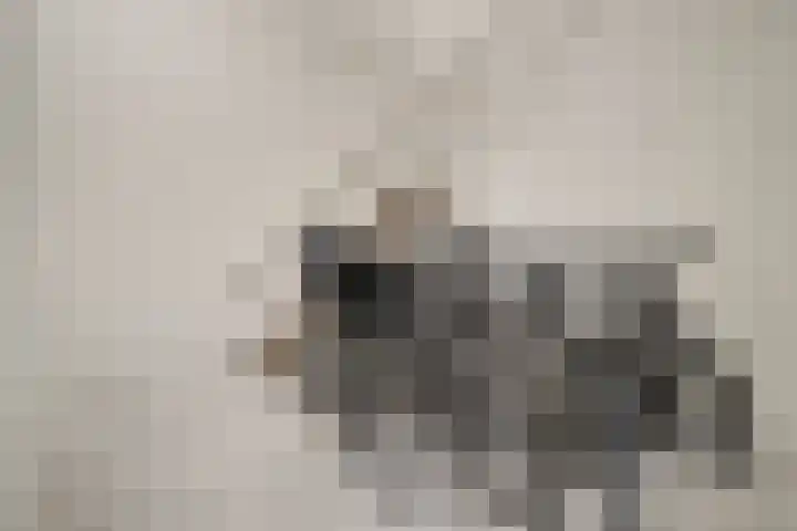 Verdronkenoord 12 H Alkmaar thumbnail 7