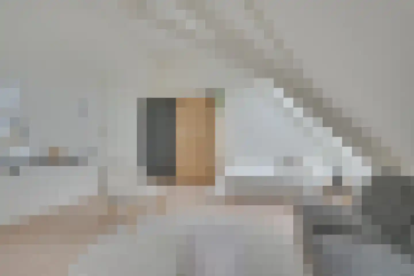 Verdronkenoord 12 L Alkmaar thumbnail 13