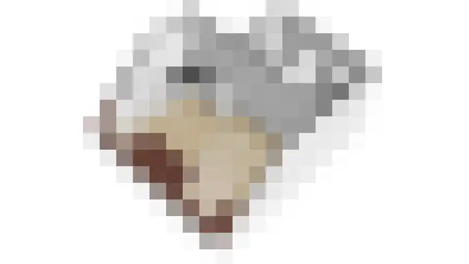 Verdronkenoord 12 L Alkmaar thumbnail 31